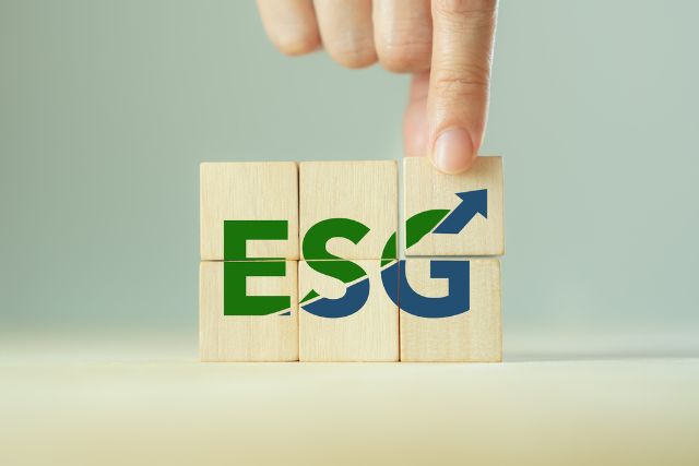 ESG reversible